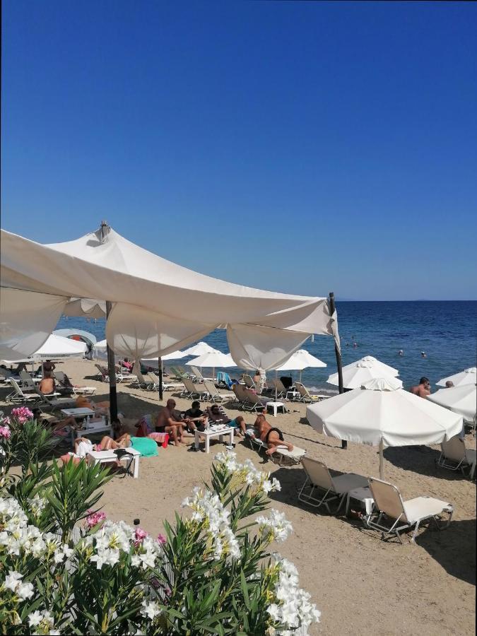 Greca Mare-Traditional Greek Boutique Apt. 普萨克迪亚 外观 照片