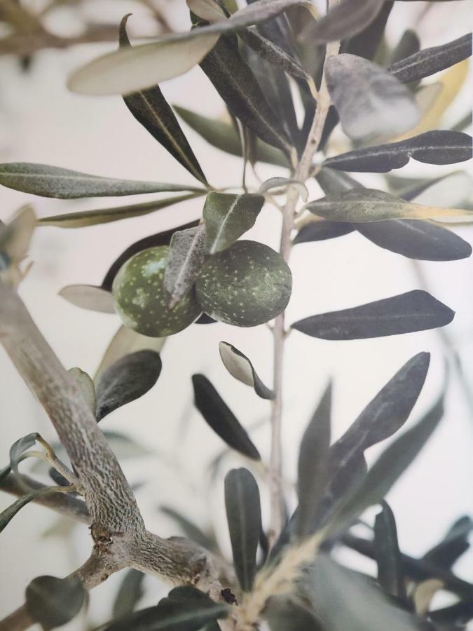 Greca Mare-Traditional Greek Boutique Apt. 普萨克迪亚 外观 照片