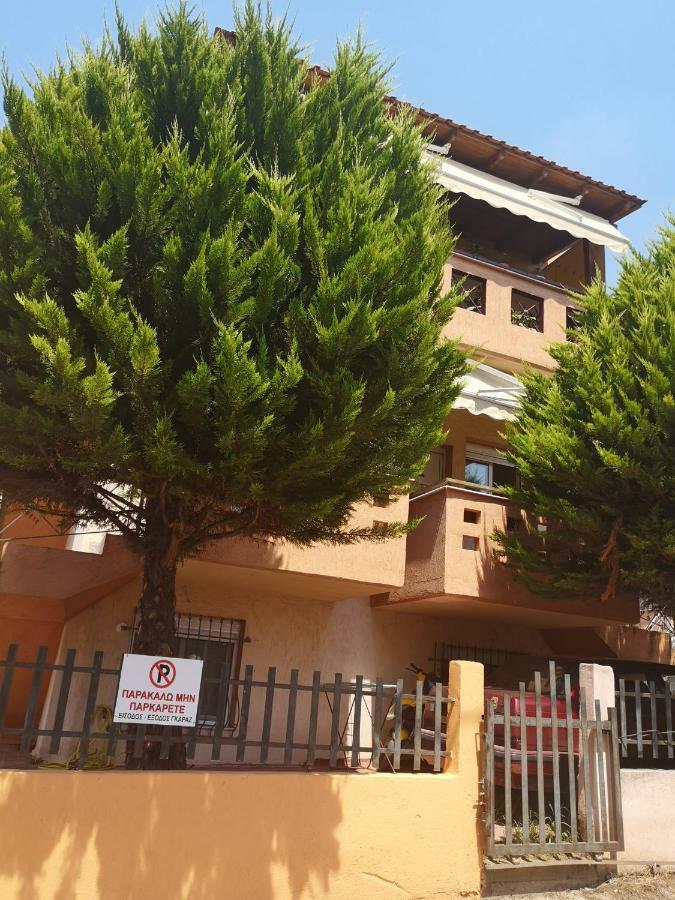 Greca Mare-Traditional Greek Boutique Apt. 普萨克迪亚 外观 照片